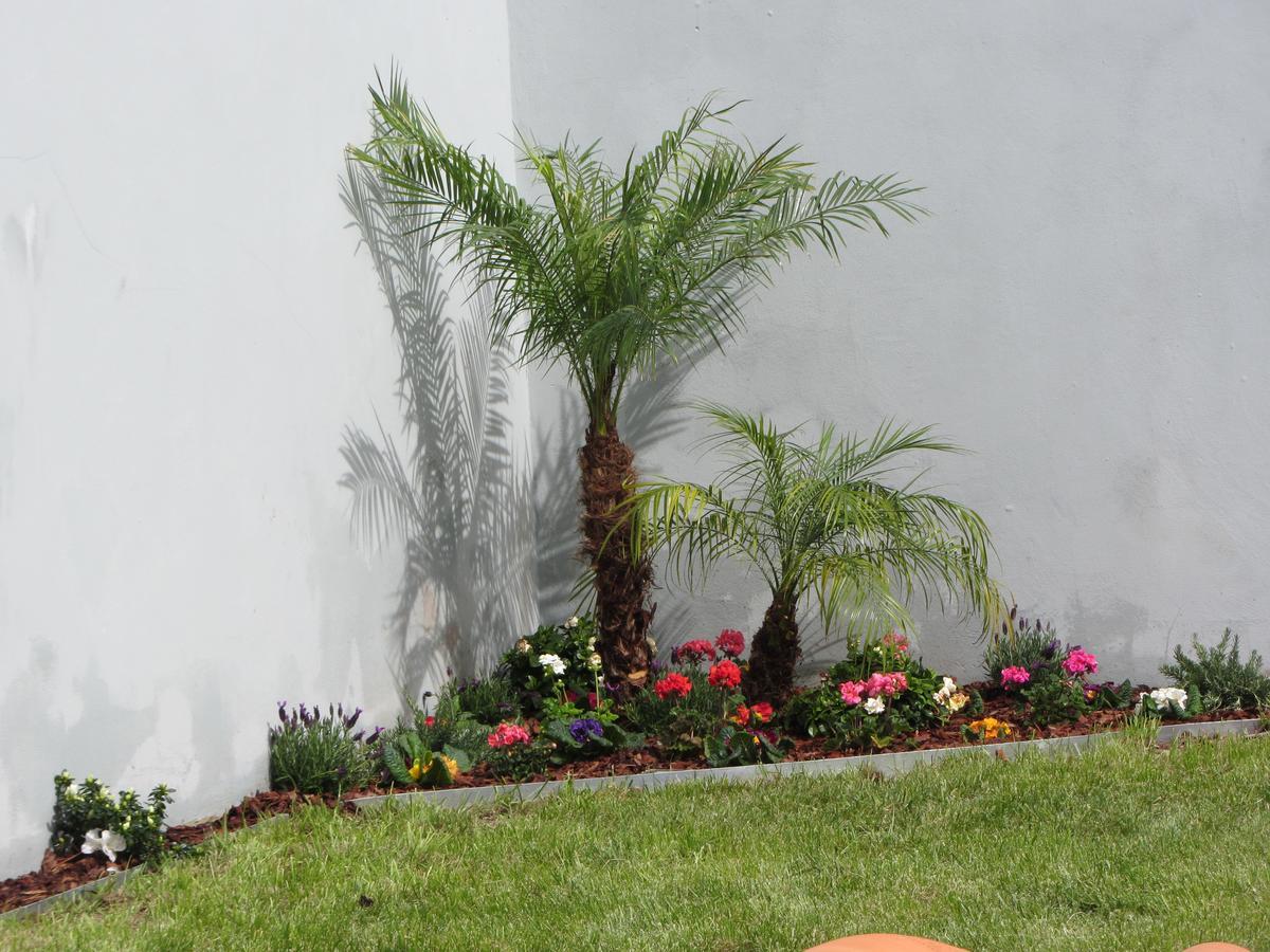 Comfort Charming Cedofeita Bed and breakfast 2*